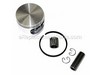 Piston Kit – Part Number: 10000032432