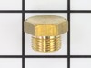 Plug – Part Number: 10487628PGS