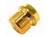 Plug – Part Number: 198850GS