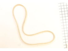 Belt- V – Part Number: 21546085