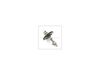 Camshaft(Mech.Comp. Release) – Part Number: 35992