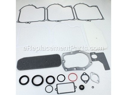 9277985-1-M-Briggs and Stratton-393411-Gasket Set-engine