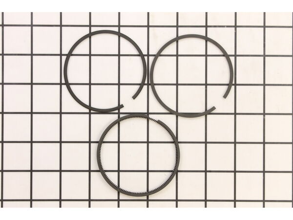9281294-1-M-Briggs and Stratton-493390-Ring Set-030