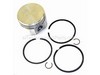 Piston Assembly-std – Part Number: 499960