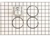 Piston Assembly-020 – Part Number: 499962