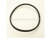 Drive Belt – Part Number: 505289962