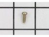 Screw – Part Number: 521841701