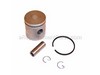 PISTON ASSEMBLY – Part Number: 530069613