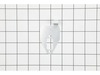 Gasket – Part Number: 537014101