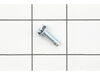 Screw – Part Number: 691044