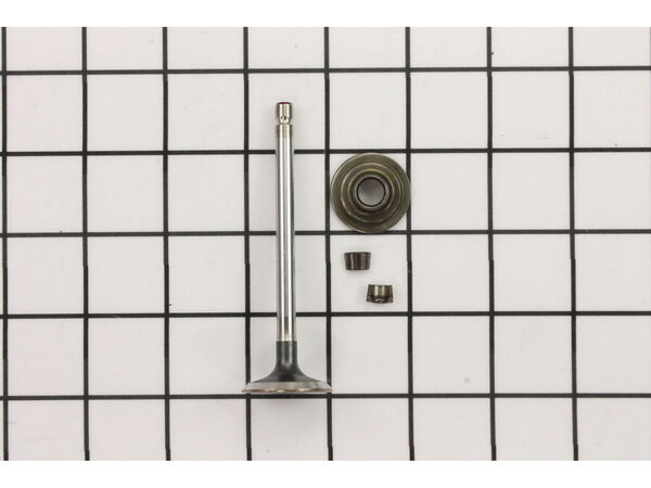 9295118-1-M-Briggs and Stratton-697576-Valve-exhaust