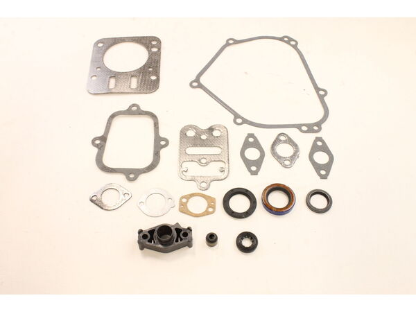 9295133-1-M-Briggs and Stratton-698216-Gasket Set-engine