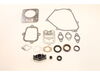 Gasket Set-engine – Part Number: 698216