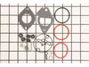 Kit-carb Overhaul – Part Number: 796184