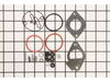 9306893-2-S-Briggs and Stratton-796184-Kit-carb Overhaul