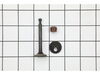 Valve-Intake – Part Number: 797198
