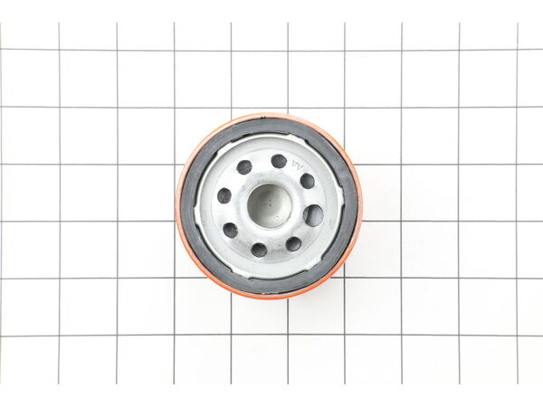 9306998-1-M-Briggs and Stratton-798576-Filter-oil