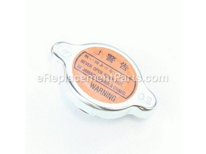 9307796-1-M-Briggs and Stratton-820258-Cap-Radiator
