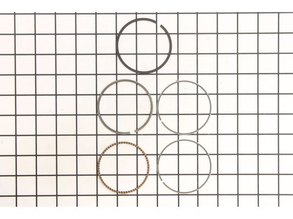 9308125-1-M-Briggs and Stratton-843953-Ring Set