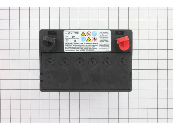 9310460-1-M-MTD-925-1707D-Battery 245 CCA Dry