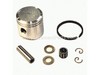 9321790-1-S-Echo-P021000371-Piston Kit