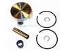 Model 3000 Piston Kit – Part Number: 530010862