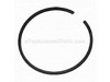 Piston Ring – Part Number: 530025933
