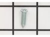 Idle Adjust Screw – Part Number: 530035238