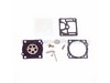 Carburetor Repair Kit – Part Number: 530035283