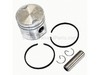 Piston Kit – Part Number: 530069948
