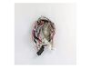 9494823-2-S-Whirlpool-W10640711-Wire Harness