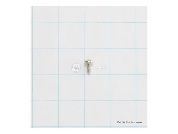 951644-1-M-GE-WB01K10030        -SCREW