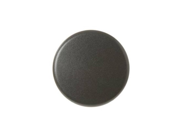 954219-1-M-GE-WB29K10043        -CAP BURNER