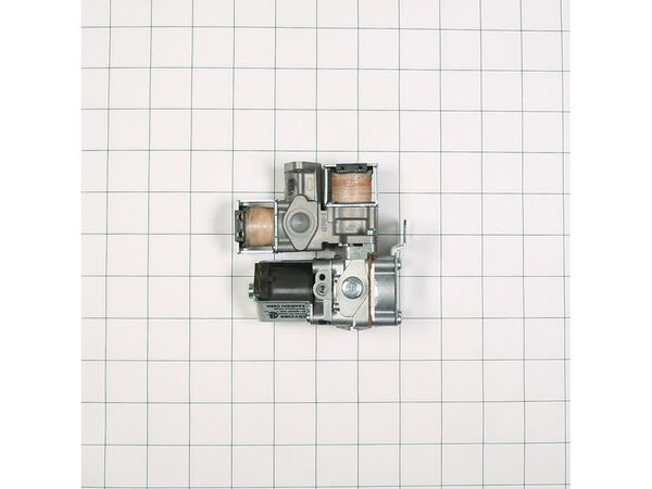 959873-1-M-GE-WE01X10201        -Gas Valve Assembly
