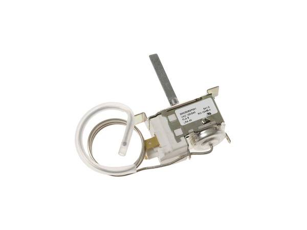 963862-1-M-GE-WR09X10104        -Thermostat