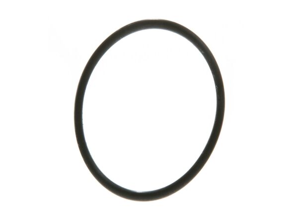 968038-1-M-GE-WS03X10045        -O-RING RO MEMBRANE Housing
