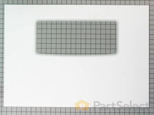 Exterior Door Glass – Part Number: 316406403