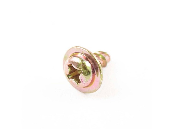 979670-1-M-Frigidaire-5304440866        -SCREW