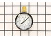 Gauge 300P – Part Number: 032-0025