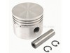 Piston Assembly – Part Number: 048-0117