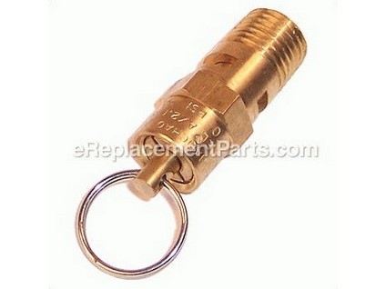 9870654-1-M-Ridgid-079027005034-Pressure Relief Valve