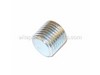 End Plug – Part Number: 079027007011