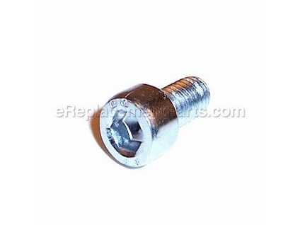 9870832-1-M-Ridgid-079027007132-Hex Screw (M6 x 12 mm)