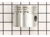 Piston – Part Number: 079027009071