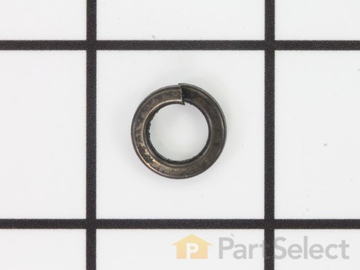 9871798-1-M-Ryobi-089120406022-Spring Washer (M8)