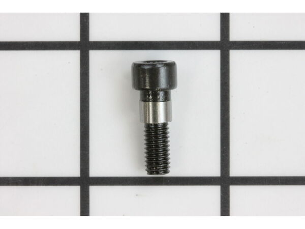9871820-1-M-Ryobi-089120406046-Screw (special)
