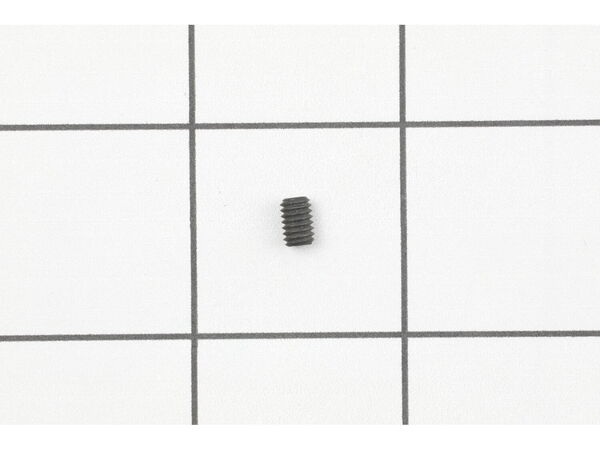9871825-1-M-Ryobi-089120406051-Screw (m4 X 6 Mm)