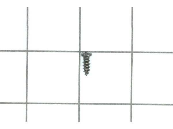 9871889-1-M-Ryobi-089120406126-Screw (M4 x 10 mm)
