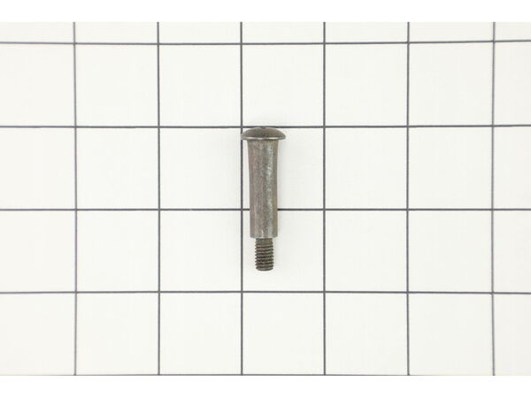 9871920-1-M-Ryobi-089230100015-Pivot Bolt Guard