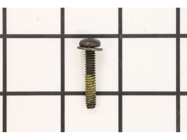 9872307-1-M-Ryobi-093221-Screw (Torx Pan Hd. Sems)